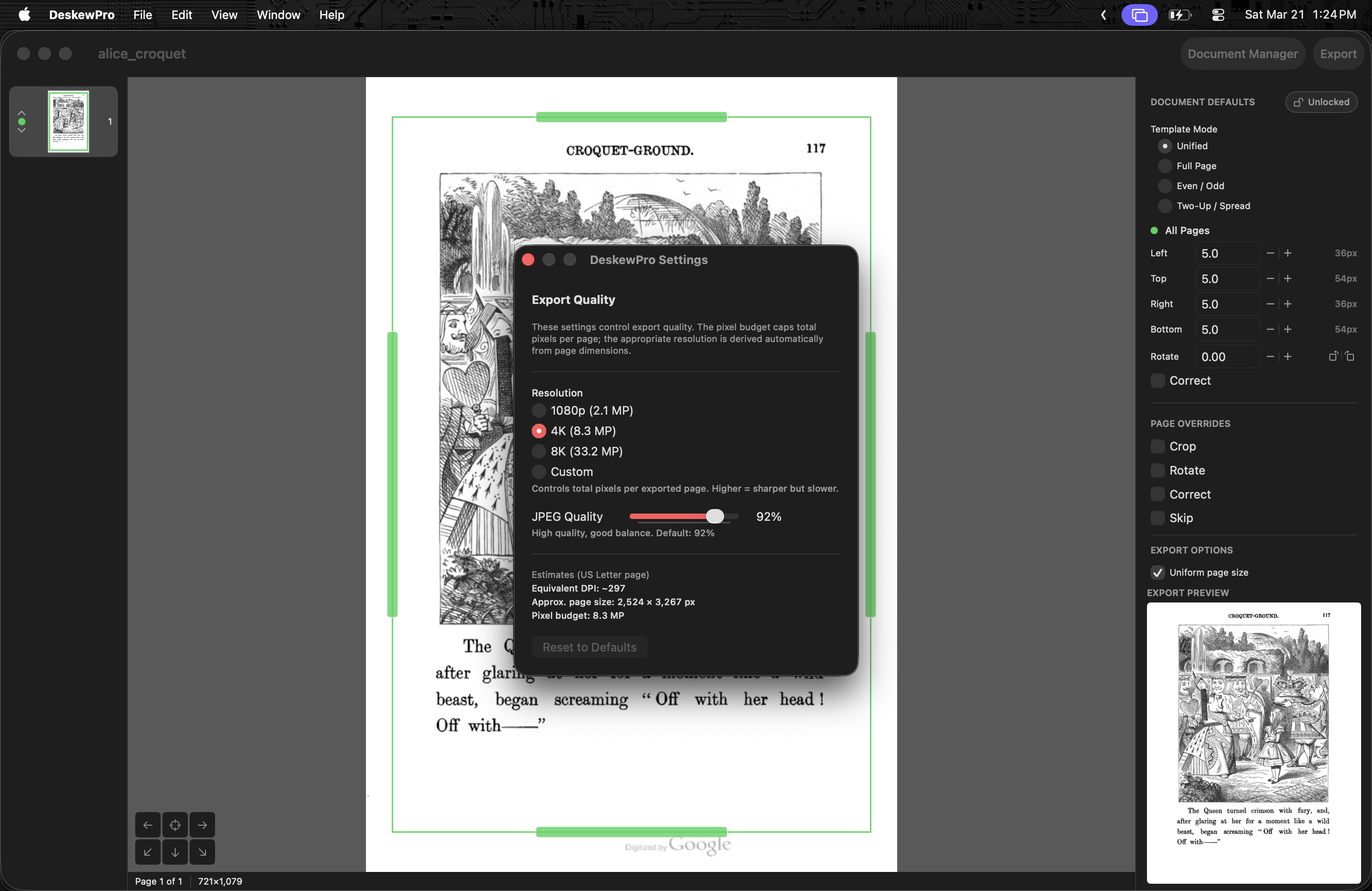 DeskewPro export settings with resolution and quality controls